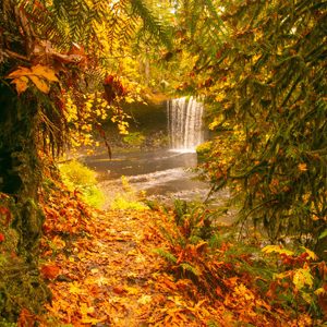 Beaver Falls, Oregon 8x10